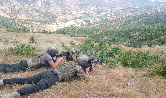 Terör örgütü PKK'ya Bitlis'te 'üst düzey' darbe